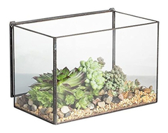 Caja Rectangular De Cristal Transparente Para Terrario