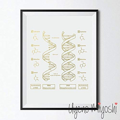 Cuadro De Estructura Molecular - comprar online