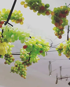 Uvas Artificiales - tienda online