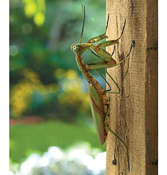 Bits Y Piezas Praying Mantis Árbol Percha Durable Jardín - comprar online