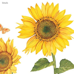 Pegatinas De Pared Para Niños Diseño De Girasoles - Danielle's Store