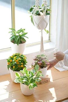 Colgador De Plantas Para Interior Y Exterior, Cesta Algodón - comprar online