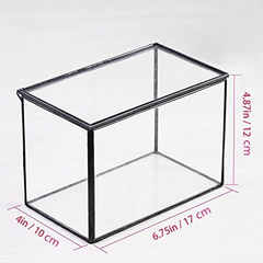 Imagen de Caja Rectangular De Cristal Transparente Para Terrario