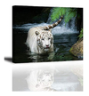 White Tiger Picture Decor Para El Dormitorio