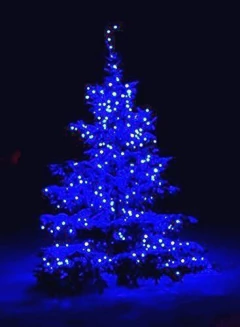 Imagen de Luces De Led A Prueba De Agua 50 Leds 5 M / 16 Pies