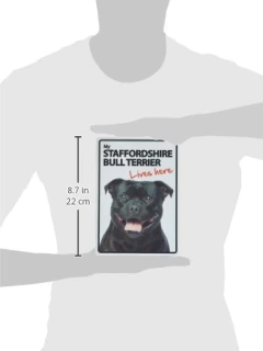 Staffie Vive Aquí( Cartel De Plástico) en internet