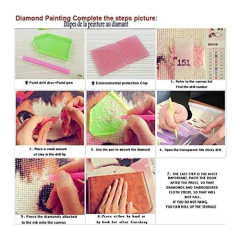 Kit De Pintura De Diamante 5d Para Adultos, Taladro