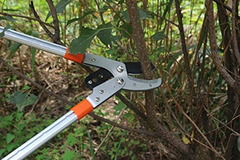 Imagen de Tijeras De Poda Para Árboles Con Cuchillas De Acero