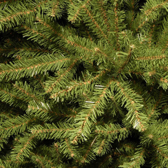 National Tree 6.5 Foot Dunhill Abeto, Con Bisagras (duh-65) en internet