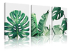 Lienzo Decorativo Para Pared Diseño De Plantas Tropicales