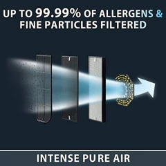 Rowenta Purificador De Aire en internet
