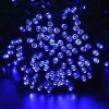 Fuente De Luz Led De Lychee Solar