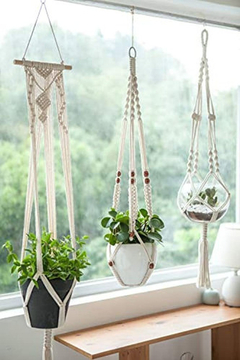 Colgadores De Plantas De Interior De La Pared Colgador - tienda online