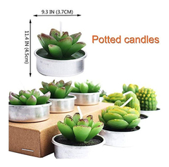 Velas De Cactus Hechas A Mano - Danielle's Store