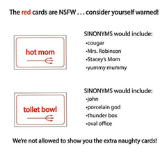 Sinonyms - Mejor Juego De Mesa Para Adultos - Raunchy Rowdy - tienda online