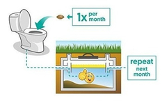 Tratamiento De Fosas Sépticas - Suministro De 1 Año De en internet