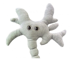 Giant Microbes Peluche Célula Cerebral (neurona) en internet