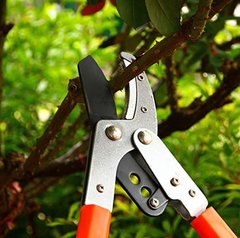 Tijeras De Poda Para Árboles Con Cuchillas De Acero - tienda online