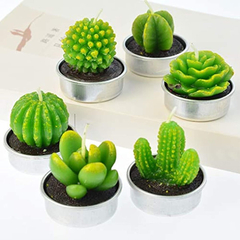 Imagen de 6 Velas De Cactus Velas Delicadas Velas De Cactus Suculentas