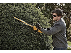 Dewalt - Cortacésped (20 V), Sin - Danielle's Store