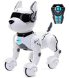 Robot De Control Remoto Para Perros Robots Para Niños