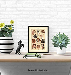 Arte De Pared Decoración - Danielle's Store