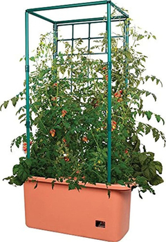 Barril De Tomate Hydrofarm, Enrejado Para Tomates, Verde - comprar online