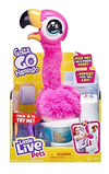 Little Live Pets Gotta Go Flamingo | Peluche Interactivo Que