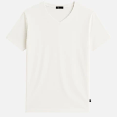 Camiseta Gola V Rasa Masculina Manga Curta - loja online