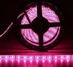 Fita de Led 5060 Rosa 12v 60 Led IP65 5M - loja online