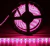 Fita de Led 5060 Rosa 12v 60 Led IP65 5M - loja online