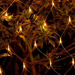 Rede pisca natal 