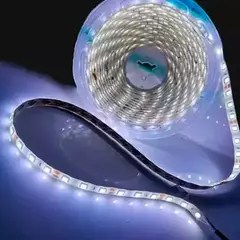 Fita de Led 3528 24v 120 Leds IP20 5M - comprar online