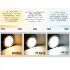 Fita de Led 3528 24v 120 Leds IP20 5M