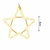 Estrela Neon Pendente para Decoração 30cm Led - comprar online
