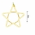 Estrela Neon Led