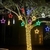 Estrela Neon Led