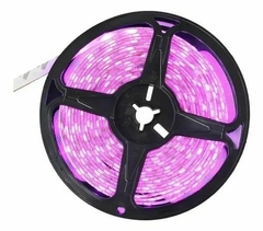 Fita Led 3528 Rosa 12v 240leds IP20 5m