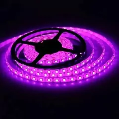 Fita Led 3528 Rosa 12v 240leds IP20 5m - comprar online