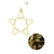 Estrela Neon Led