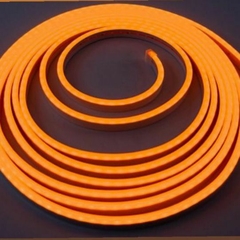mangueira neon 5m 12v 