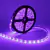 fita led 5050 roxo 
