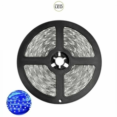 Fita Led 5050 24V azul 
