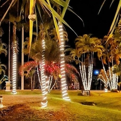 Árvore com Led