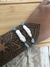 Pulseira Água Marinha com Pérola Barroca