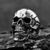 Anillo Calavera Ghost Rider en internet