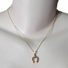 Colar Divino Country Corrente Ferradura Dourado CH234