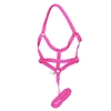 Cabresto de Fita KG Pink CB19