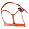Cabresto De Fita Boots Horse M Laranja 2737