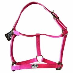Cabresto De Fita Boots Horse M Pink 2544